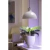 Groeilamp Led Florabooster 500 - 6,5W - Wit 2 Groeilamp Led Florabooster 500 - 6,5W - Wit -Tuinwinkel 1677504262 1 600