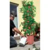 Plantentoren Maxitom Met Waterreservoir - Terracotta -Tuinwinkel 1677510667 1 600