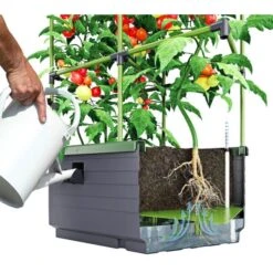 Kweekbak City Jungle Basic Met Klimframe -Tuinwinkel 1677572003 2 600