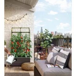 Kweekbak City Jungle Basic Met Klimframe -Tuinwinkel 1677572004 4 600