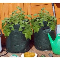 Tuinwinkel -Tuinwinkel aardappel kweekzak groen 1484053819 2 600