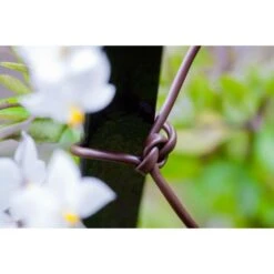 Bindbuis Elastisch Ø 2,5 Mm - Bruin 40 M -Tuinwinkel bindbuis bruin 135 g 1484066131 2 600