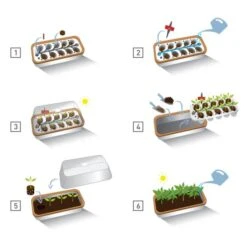 Binnenkas BoQube Plus Romberg - 41 × 17 × 23 Cm -Tuinwinkel binnenkas boqube 41 x 17 x 23 cm 1656509792 5 600