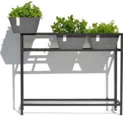 ECOPOTS Berlin Kruidentafel - Grijs 100 X 80 X 36 Cm -Tuinwinkel ecopots berlin kruidentafel grijs 1600852112 2 600