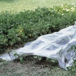 Folie Voor Kweektunnel - 2 × 10 M