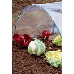 Folie Voor Kweektunnel - 2 × 5 M