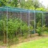 Fruitkooi Walk-in - 360 × 180 × 200 Cm 2 Fruitkooi Walk-in - 360 × 180 × 200 Cm -Tuinwinkel fruitkooi walkin 65 m 1678888704 1 600