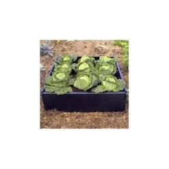 Groeibed Vierkant Kunststof - 97,5 × 97,5 × 25 Cm -Tuinwinkel groeibed 975 x 975 x 25 cm 1484053179 3 600