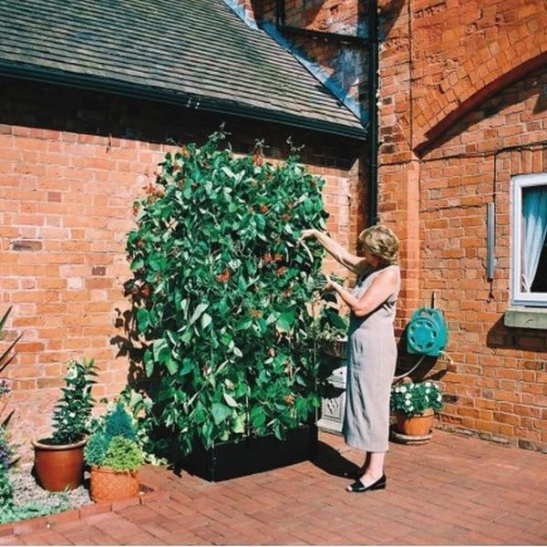 Groeibed 1 × 0,5 M Met Klimframe 3 Groeibed 1 × 0,5 M Met Klimframe