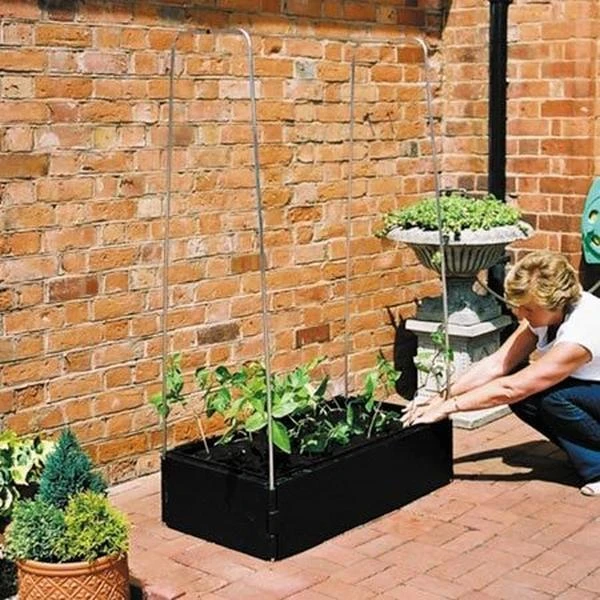 Groeibed 1 × 0,5 M Met Klimframe 5 Groeibed 1 × 0,5 M Met Klimframe - Afbeelding 3