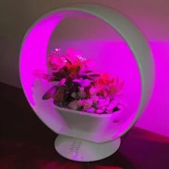 Mini Tuin Jardin Secret Met Verlichting En Bluetooth - Rond -Tuinwinkel jardin secret met bluetooth rond 1602065218 3 600