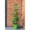 Klimplantentoren 150 Cm Met Bewateringssysteem - Groen -Tuinwinkel klimplantentoren met bewateringssysteem 1519073626 1 600
