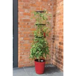 Tomatentoren Met Bewateringssysteem - 150 Cm -Tuinwinkel klimplantentoren met bewateringssysteem 1519074088 1 600