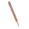 Kokos Kamerplantensteun - Plantstok Ø45 Mm × 1 M -Tuinwinkel kokos plantensteun 45 mm x 1 m 1622717805 1 600