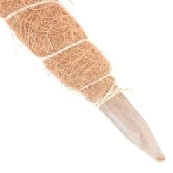 Kokos Kamerplantensteun - Plantstok Ø 45 Mm × 1,5 M 8 Kokos Kamerplantensteun - Plantstok Ø 45 Mm × 1,5 M -Tuinwinkel kokos plantstok 45 mm x 15 m 1622714996 3 600