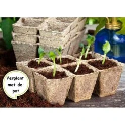 Vezelpotjes Vierkant Biologisch Afbreekbaar - 6 × 6 Cm - Set Van 24 Stuks -Tuinwinkel kokos potjes vierkant 6 cm 1519297688 1 600