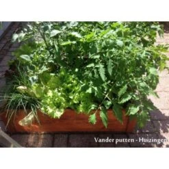 Houten Kruidenbak (vierkant) -Tuinwinkel kruidenbak 87 x 87 x 23 cm 1484055362 2 600