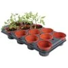 Tray Met 12 Ronde Potten Van 11 Cm -Tuinwinkel kweektray 12 potjes 11 cm 1484055981 1 600