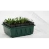 Kweektray Compact Rapid Root - 20 Cellen -Tuinwinkel kweektray rapid root 20 cellen 1487670094 0 600
