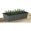 Kweektray Rapid Roots - 32 Cellen 2 Kweektray Rapid Roots - 32 Cellen -Tuinwinkel kweektray rapid roots 32 cellen 1487674841 0 600