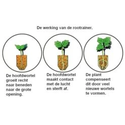 Kweektray Rapid Roots - 32 Cellen -Tuinwinkel kweektray rapid roots 32 cellen 1487680788 0 600