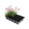 Kweektrays 15 Cellen - Professioneel - Set Van 5 Stuks -Tuinwinkel kweektrays 15 cellen professioneel 1497948812 1 600