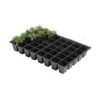 Kweektrays 40 Cellen - Professioneel - Set Van 5 Stuks 2 Kweektrays 40 Cellen - Professioneel - Set Van 5 Stuks -Tuinwinkel kweektrays 40 cellen professioneel 1497949475 1 600