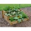 Moestuin Trapvorm 100 × 100 × 40 Cm -Tuinwinkel moestuintrap 100 x 100 x 40 cm 1556661692 1 600