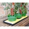 Plant- En Gietpot Groen - Set Van 3 Stuks 1 Plant- En Gietpot Groen - Set Van 3 Stuks -Tuinwinkel plant en gietpot 1484054799 1 600