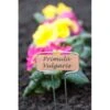 Plantenlabels Koperplaatjes - Set Van 5 Stuks -Tuinwinkel plantenlabel verzinkt 1486564763 0 600
