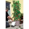 Plantentoren Maxitom Met Waterreservoir - Antraciet 1 Plantentoren Maxitom Met Waterreservoir - Antraciet -Tuinwinkel plantentoren maxitom antraciet 1677571235 1 600