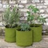 Plantzakken 10 Liter Vigoroot - Set Van 3 Stuks 2 Plantzakken 10 Liter Vigoroot - Set Van 3 Stuks -Tuinwinkel plantzakken 10 liter vigoroot 1487757117 0 600