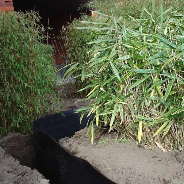 Rootblock Professionele Wortelwering 60 Cm Hoog - / Strekkende Meter 5 Rootblock Professionele Wortelwering 60 Cm Hoog - / Strekkende Meter - Afbeelding 3