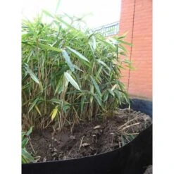 Rootblock Professionele Wortelwering 60 Cm Hoog - / Strekkende Meter 11 Rootblock Professionele Wortelwering 60 Cm Hoog - / Strekkende Meter -Tuinwinkel rootblock professionele wortelwering 1552733360 5 600