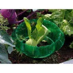 Slakken Beschermringen - Set Van 6 Stuks -Tuinwinkel slakken beschermingsringen 1484053655 3 600