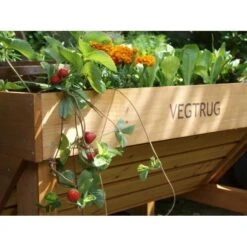 Vegtrug Verhoogde Kweektafel - 1 × 0,8 × 0,8 M 9 Vegtrug Verhoogde Kweektafel - 1 × 0,8 × 0,8 M -Tuinwinkel vegtrug 1 m 1484054491 4 600