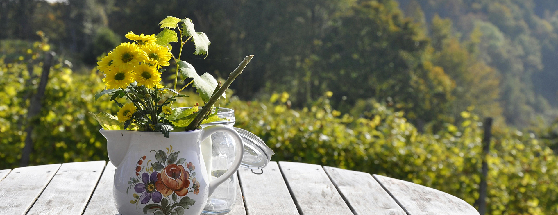 Tuinwinkel -Tuinwinkel pexels pixabay 269220